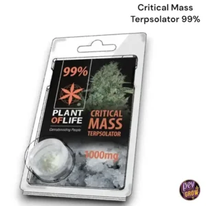 CBD-ISOLAT 99 % TERPSOLATOR 1000 MG KRISTALLE