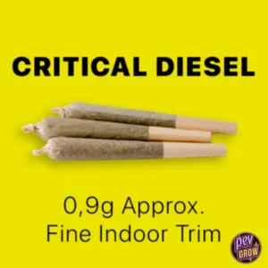CRITICAL VORGEROLLTE JOINTS 100