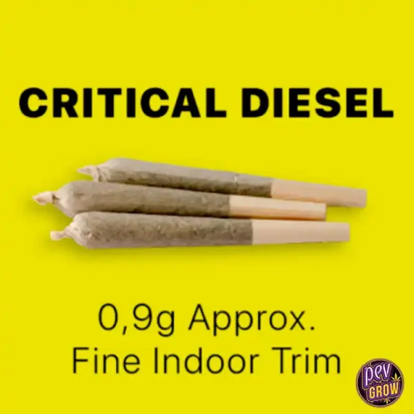 CRITICAL VORGEROLLTE JOINTS 100