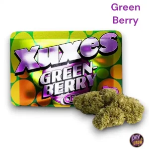 XUXES CBD BUDS 3GR. GRÜNE BEEREN