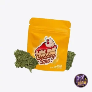GORILLA GRILLZ CBD-BLÜTEN