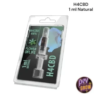 H4CBD NATÜRLICH 1 ML