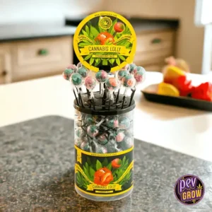 STRAWBERRY HAZE CANNABIS LUTSCHER