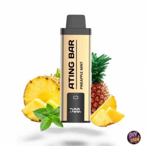 ATING JUMBO NACHFÜLLBARER POD 10000 ZÜGE 0MG - ANANAS-MINZE