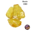 CBD 4 KOLOPHONIUMWACHS