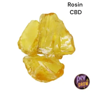 CBD 4 KOLOPHONIUMWACHS
