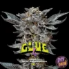 GORILLA KINGDOM GLUE 4