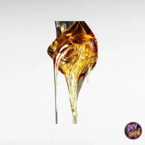 WACHS CBD 66 DESTILLAT